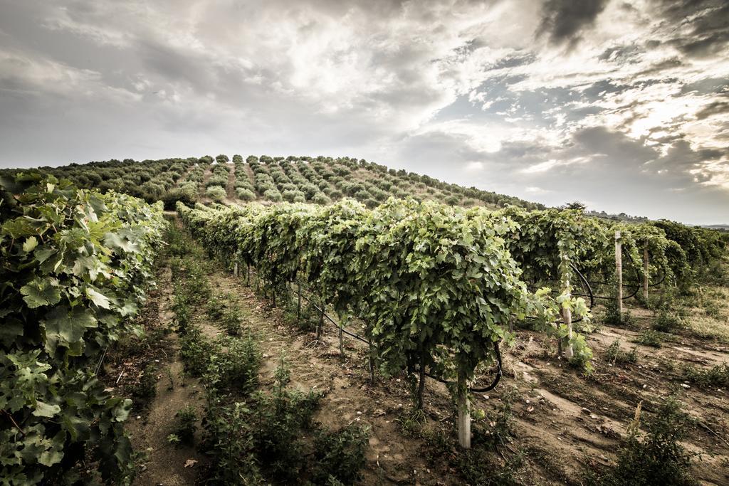 Agriturismo Il Giriatello Crotone Esterno foto