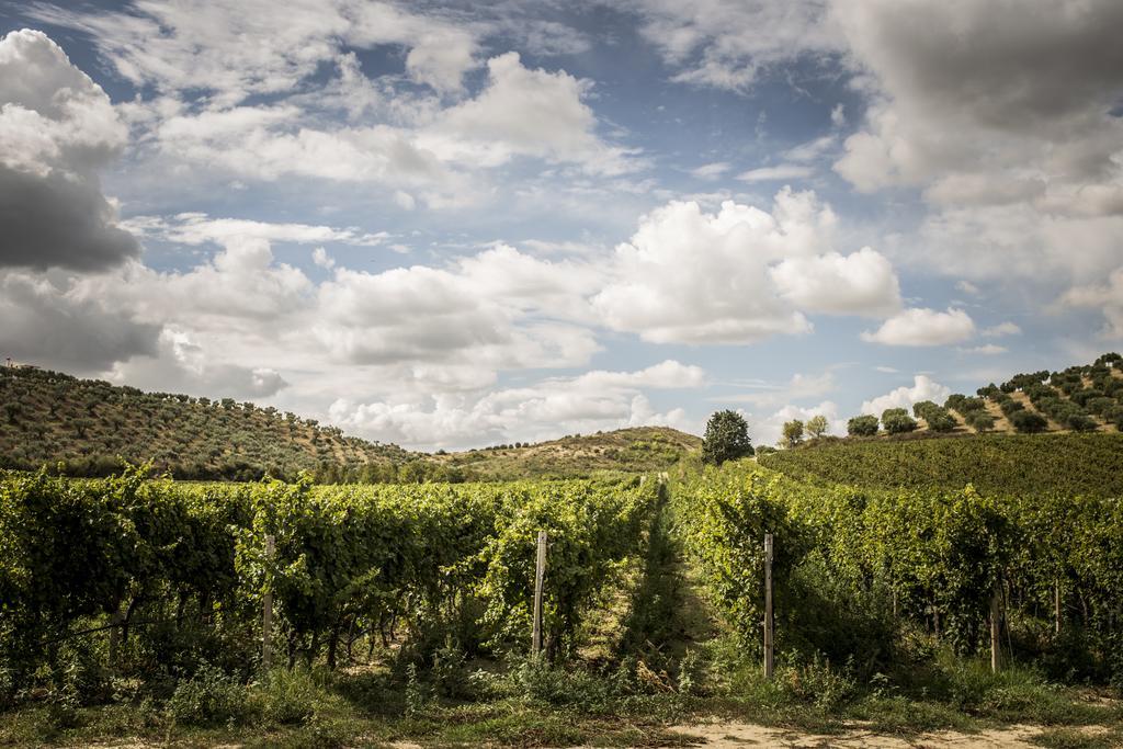 Agriturismo Il Giriatello Crotone Esterno foto
