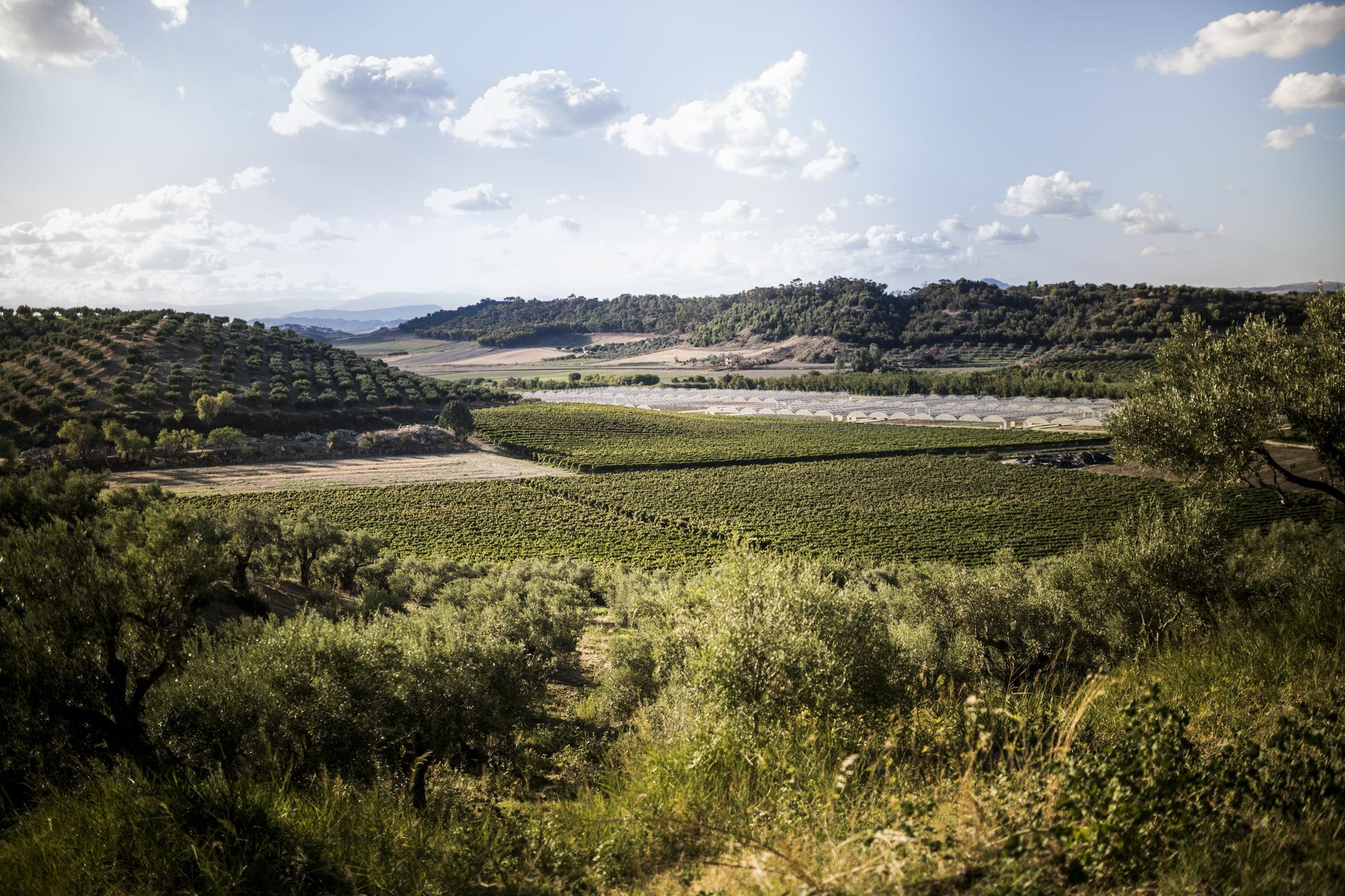 Agriturismo Il Giriatello Crotone Esterno foto